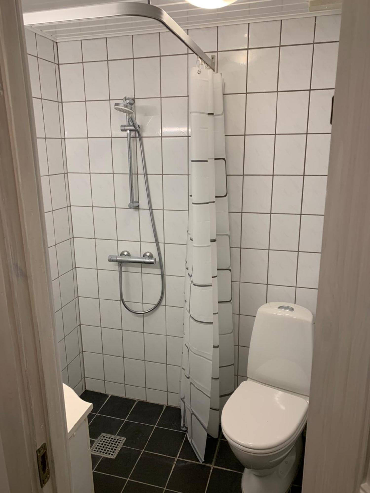 H C Andersen * Odense